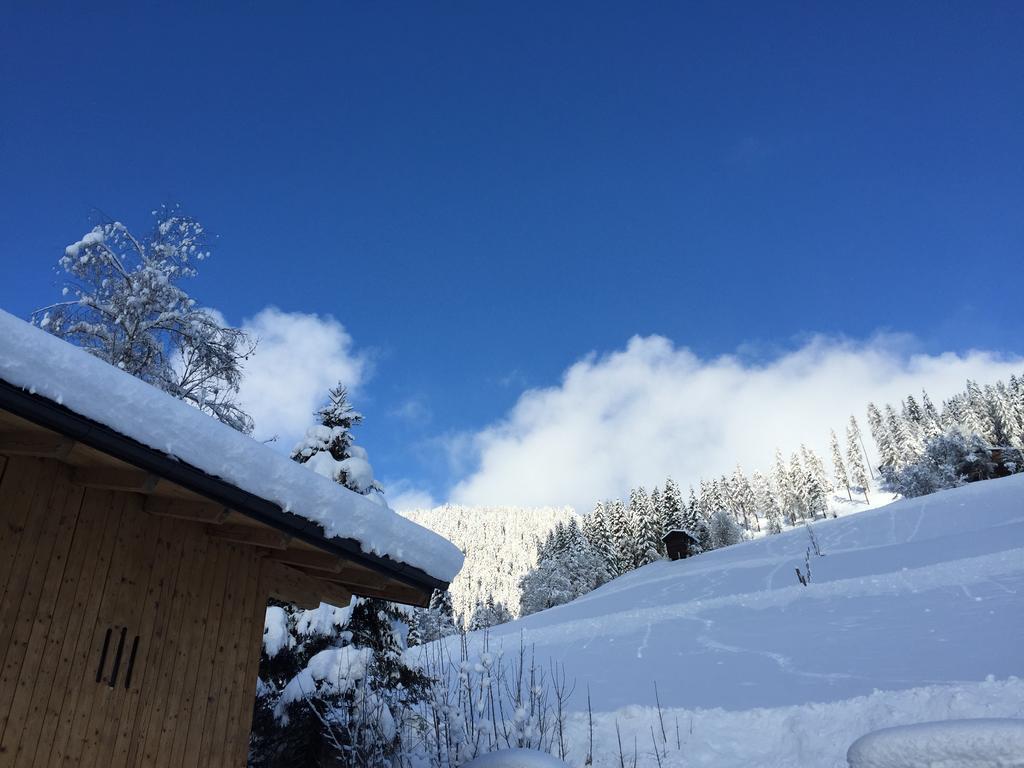 Mühlbach am Hochkönig Ferienwohnungen Unterleegut מראה חיצוני תמונה