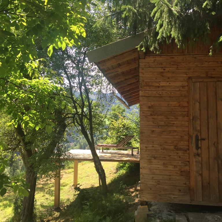 Mühlbach am Hochkönig Ferienwohnungen Unterleegut מראה חיצוני תמונה
